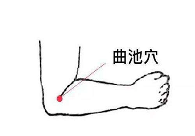 (9)曲池.png