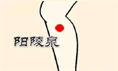 (7)阳陵泉.png