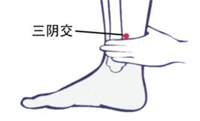(4)三阴交.png