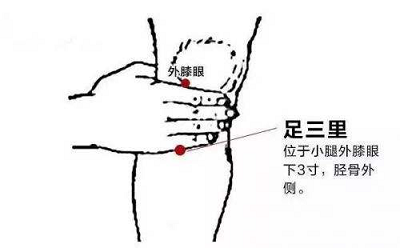 (1)足三里穴.png