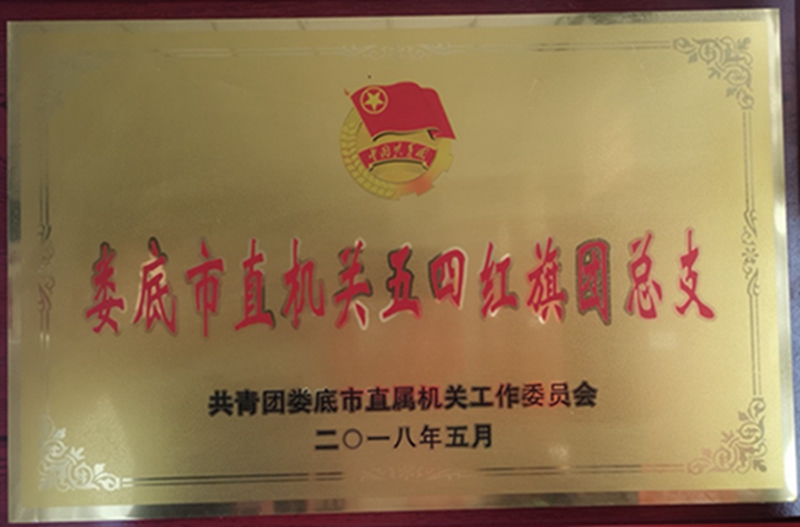 2018年度娄底市直机关五四红旗团总支