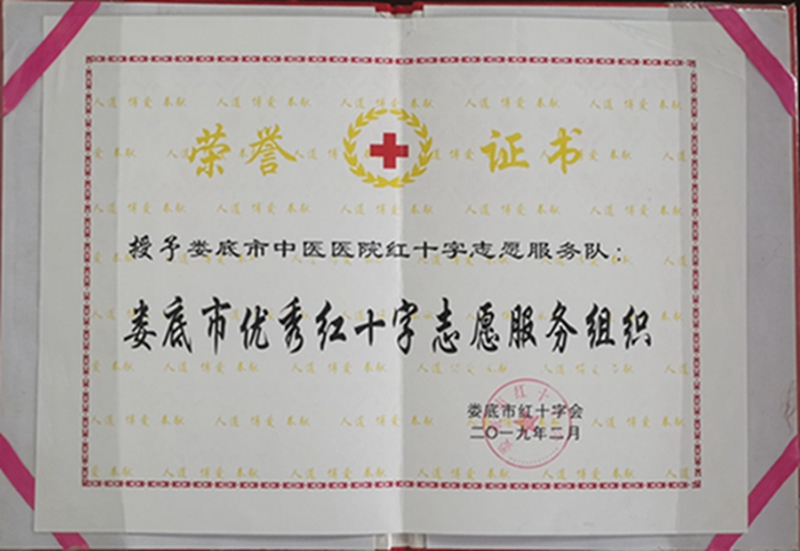 娄底市优秀红十字志愿服务组织.jpg